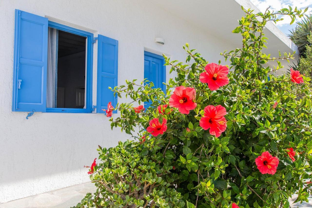 Mykonos Vouniotis Rooms Mykonos Town Zewnętrze zdjęcie