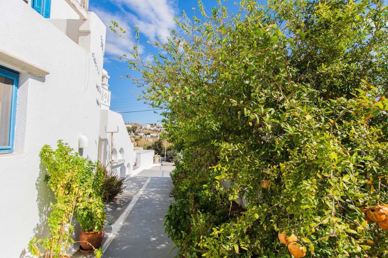 Mykonos Vouniotis Rooms Mykonos Town Zewnętrze zdjęcie